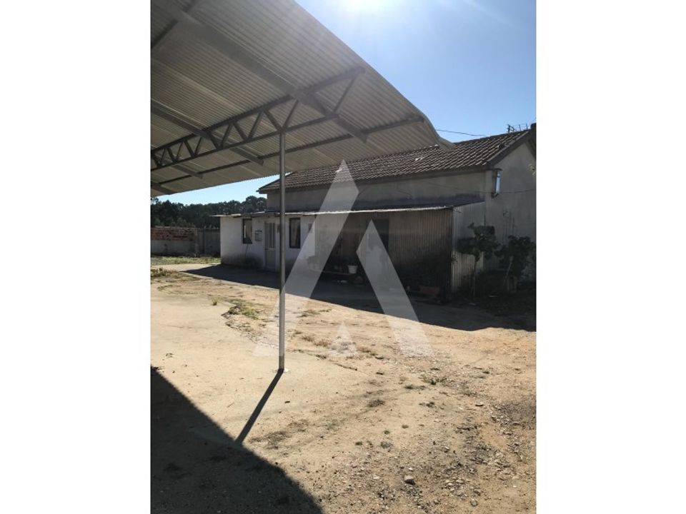 Helårsgrund i Oliveira do Bairro, Aveiro - foto 4