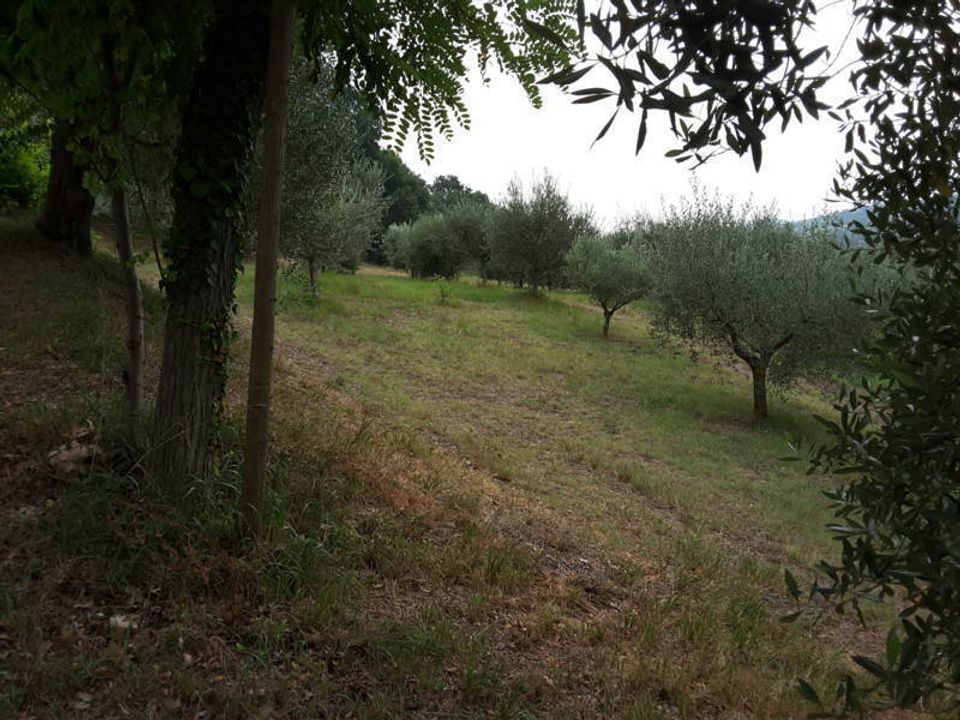 Commercieel vastgoed in Offagna, Ancona - foto 3