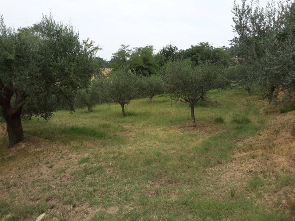 Commercieel vastgoed in Offagna, Ancona - foto 4