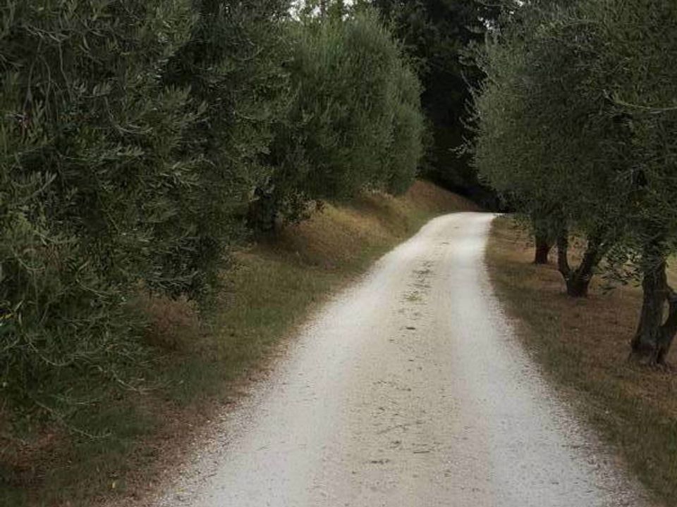 Commercieel vastgoed in Offagna, Ancona - foto 5