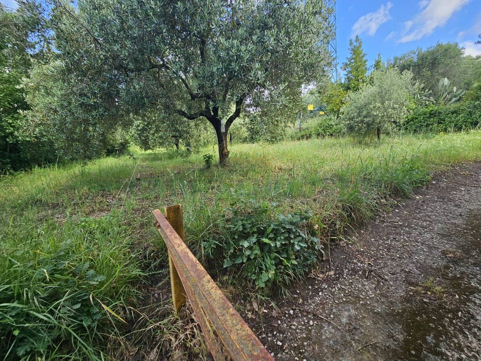 Tomt i Calvi Risorta, Caserta - bilde 5