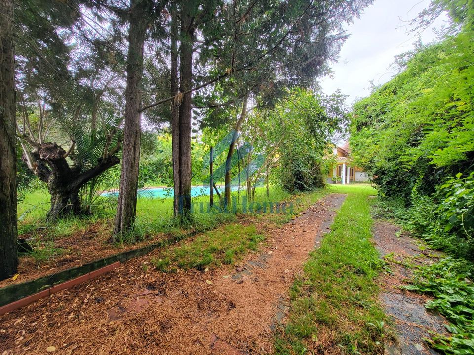 Villa i Coruche, Santarem - foto 3