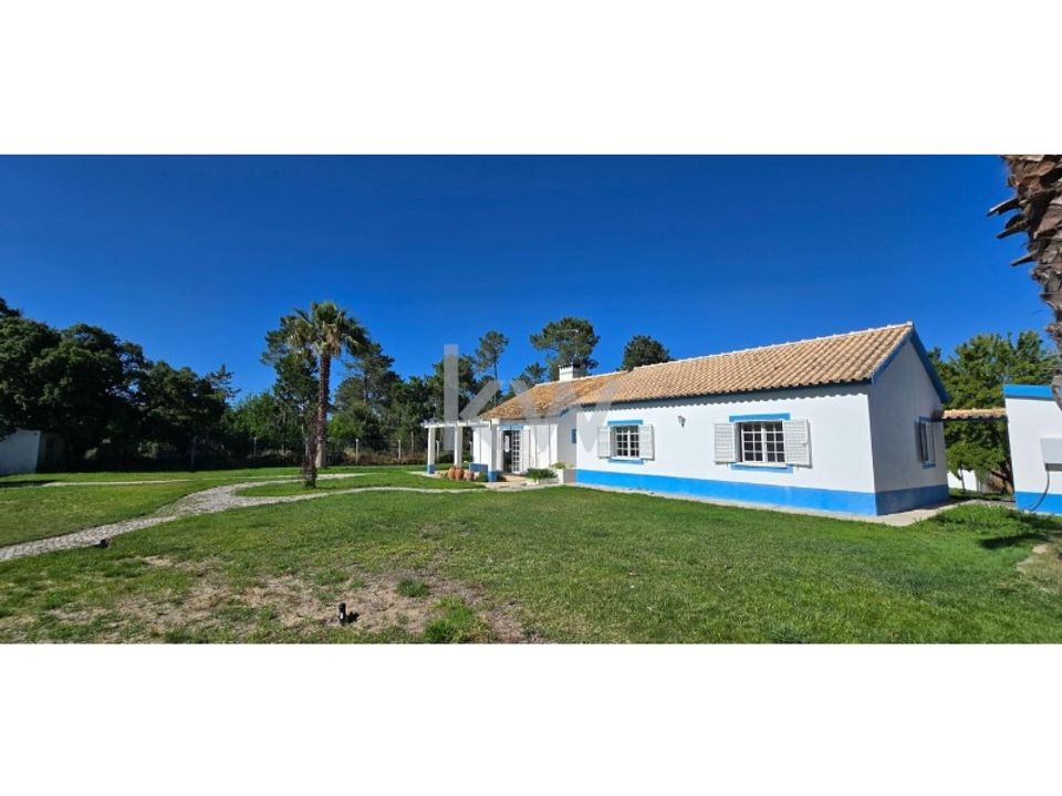 Farm i Brejos de Azeitao, Setubal - foto 4