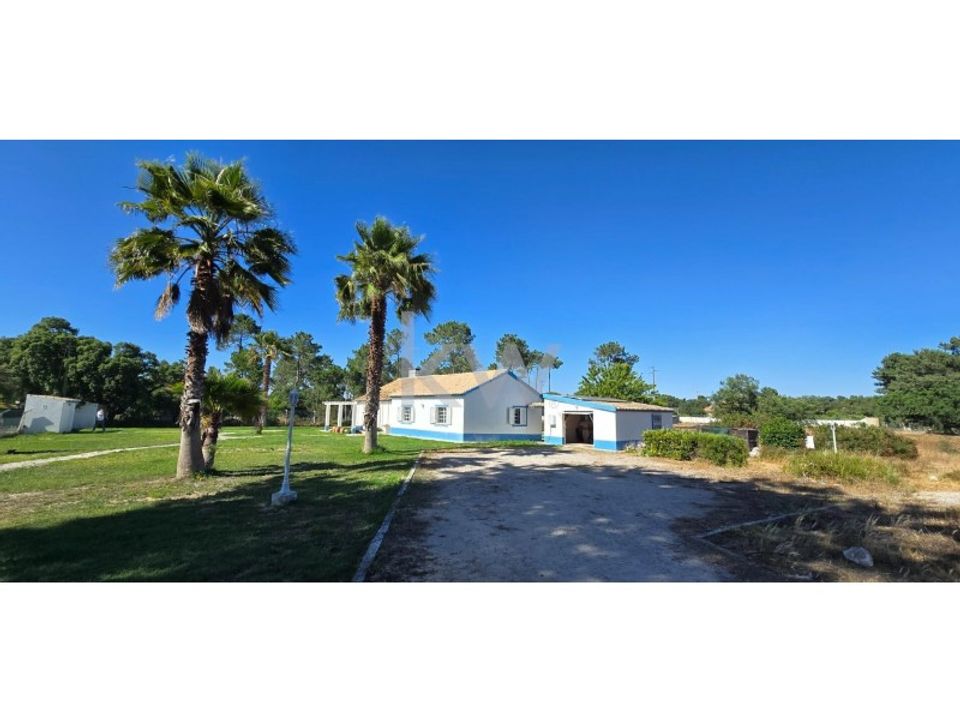 Farm i Brejos de Azeitao, Setubal - foto 5