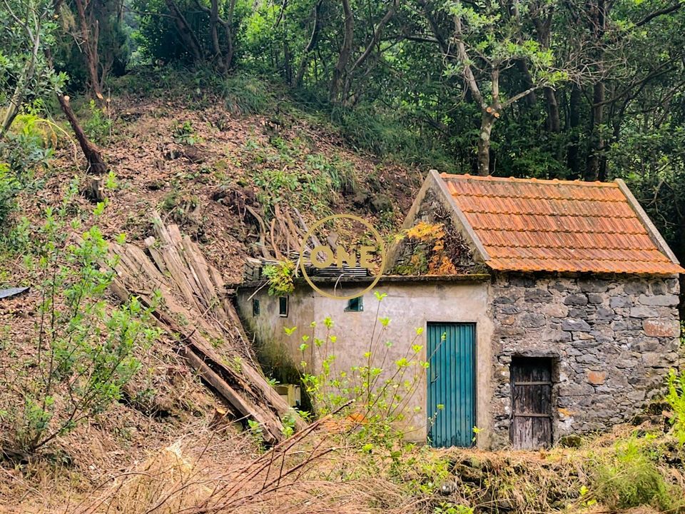 Tomt i Porto Moniz, Madeira - bilde 1