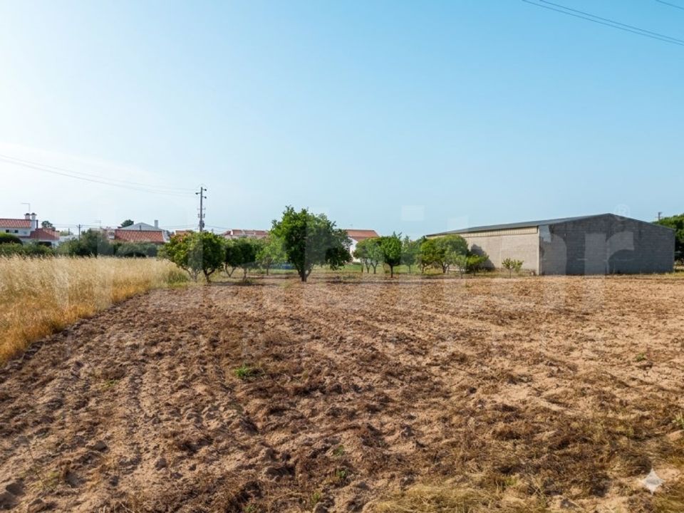 Helårsgrund i Benavente, Santarem - foto 3