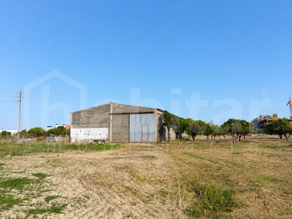 Helårsgrund i Benavente, Santarem - foto 4