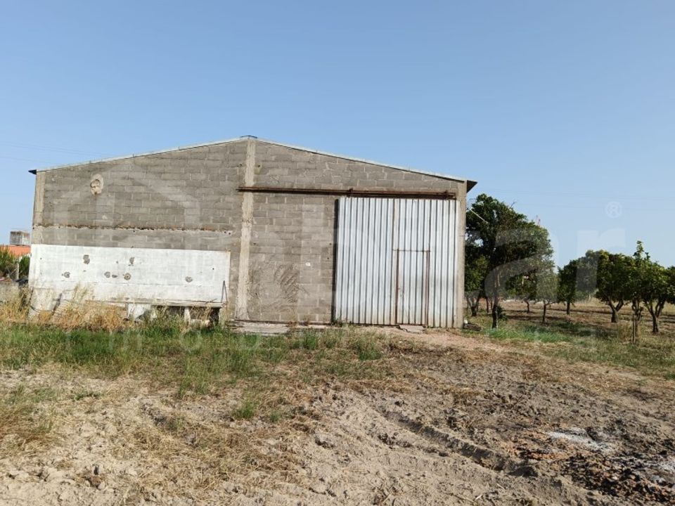Erhvervsejendom i Benavente, Santarem - foto 1