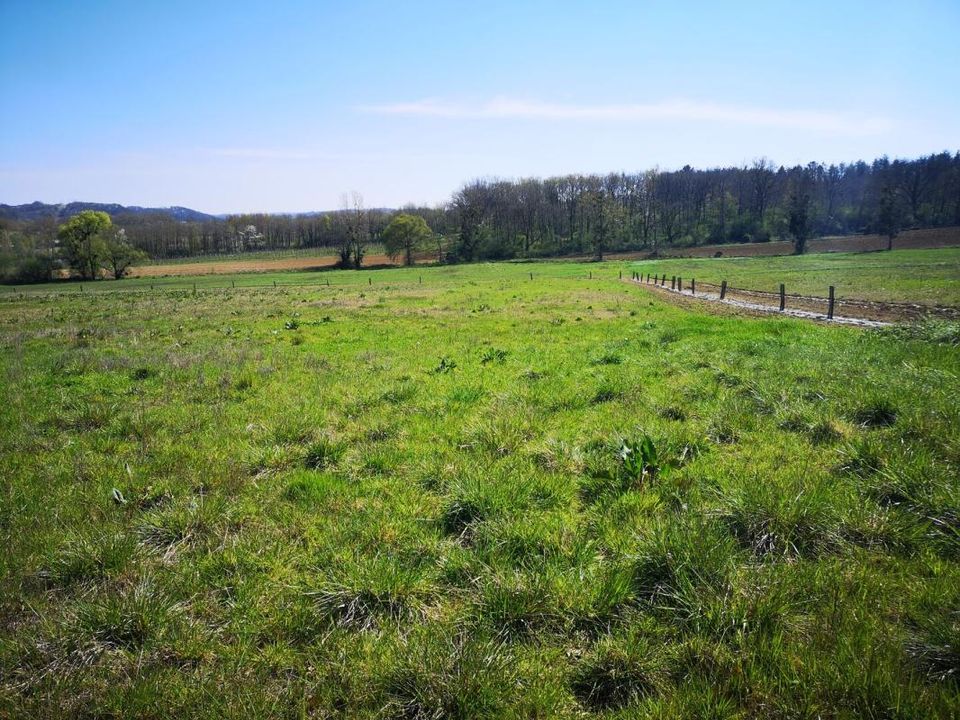 Helårsgrund i Marciac, Gers - foto 5