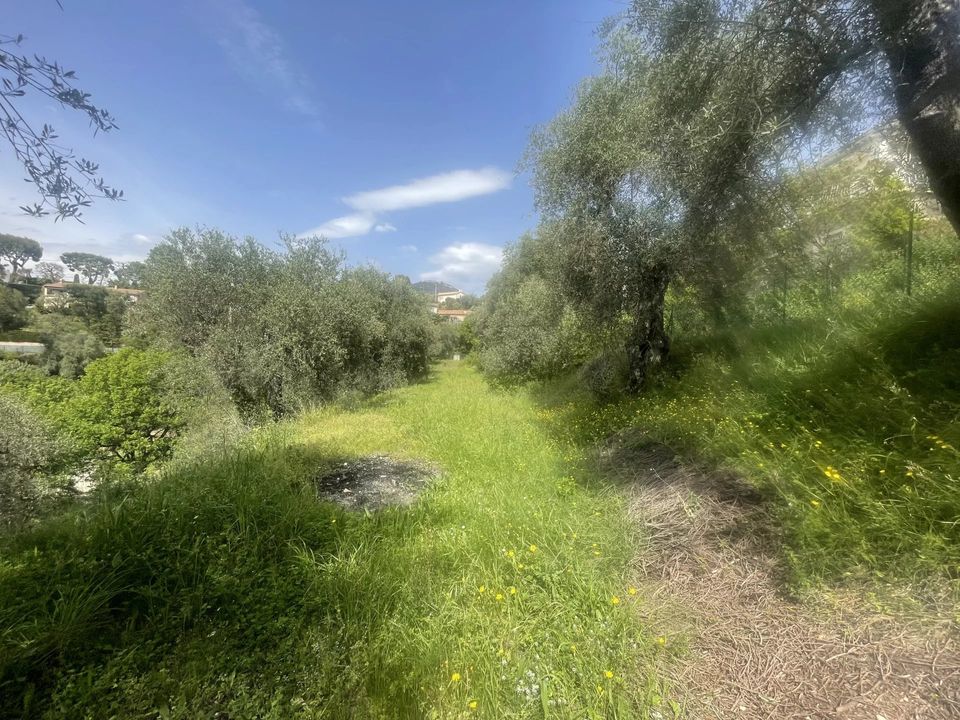 Helårsgrund i Colomars, Alpes-Maritimes - foto 4