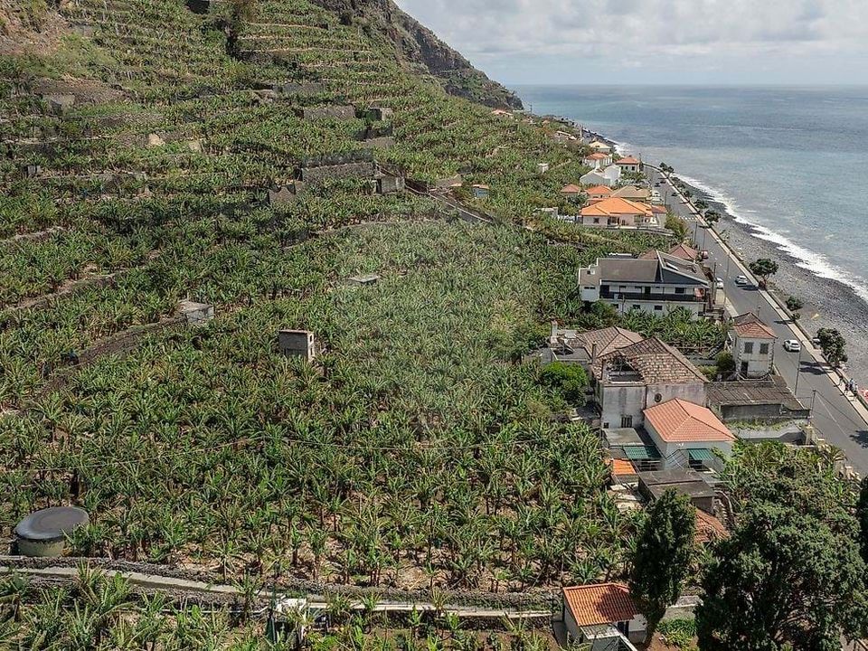 Masia a Ponta do Sol, Madeira - foto 2