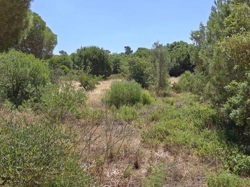 Helårsgrund i Loule, Faro - foto 2