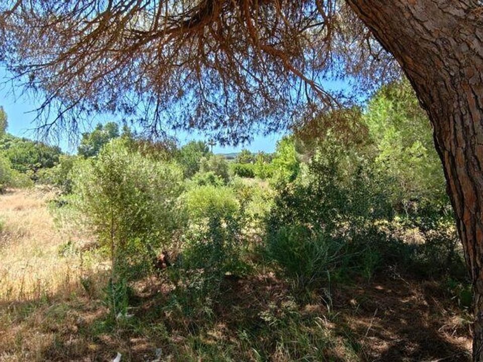 Helårsgrund i Loule, Faro - foto 3