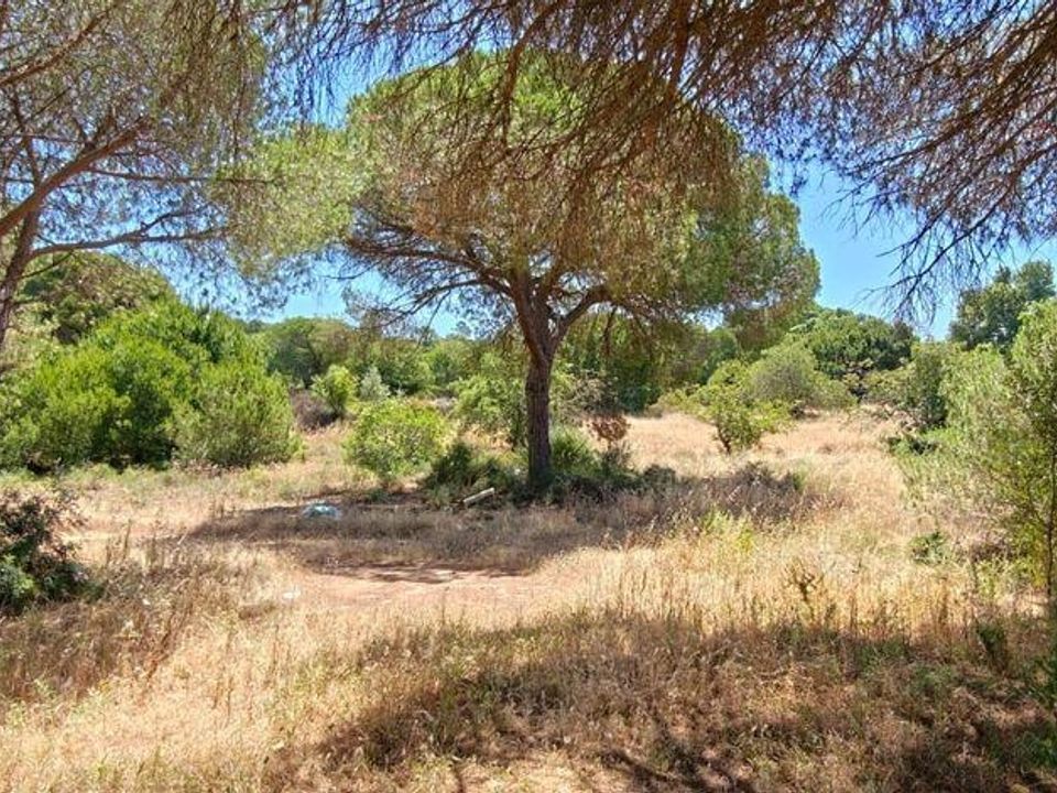Helårsgrund i Loule, Faro - foto 4