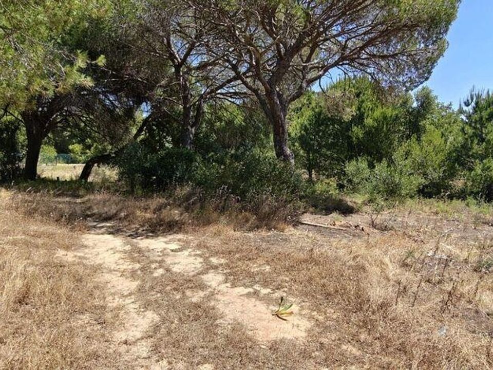 Helårsgrund i Loule, Faro - foto 5
