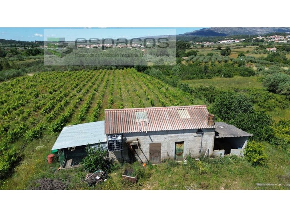 Gård i Fundao, Castelo Branco - bilde 3