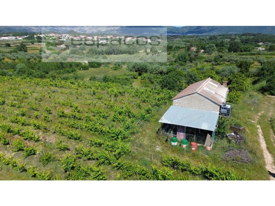 Gård i Fundao, Castelo Branco - bilde 4