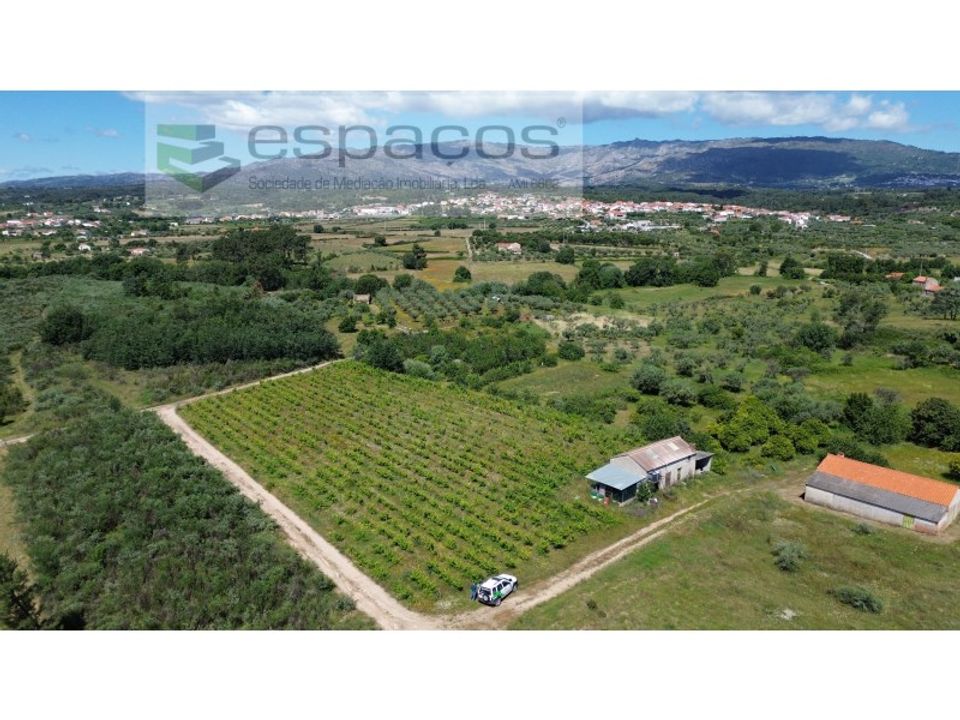 Gård i Fundao, Castelo Branco - bilde 5