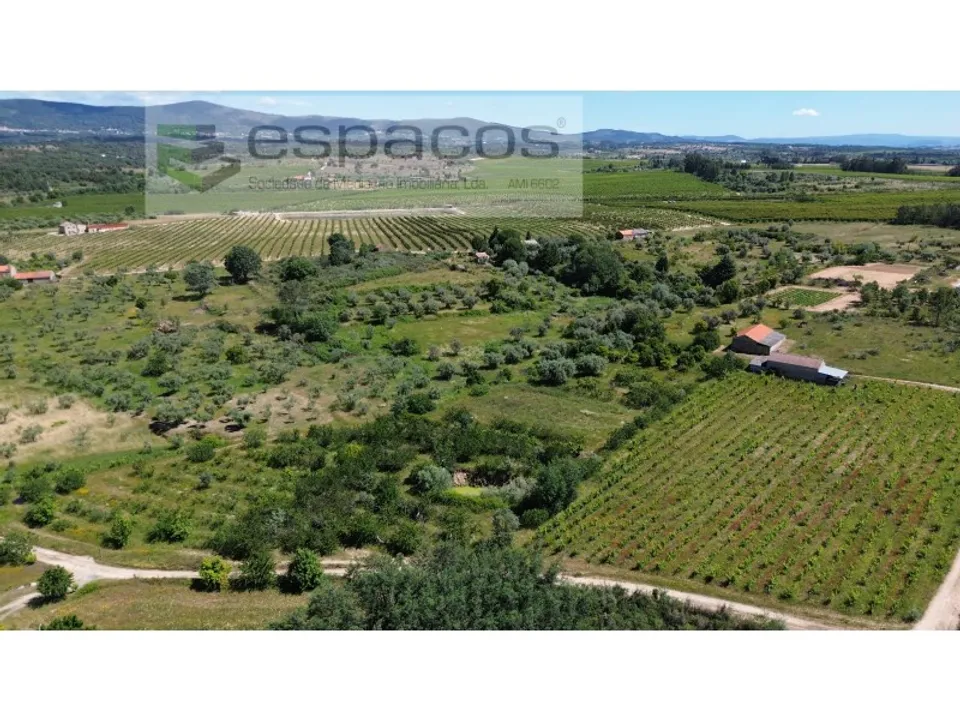 Gård i Fundao, Castelo Branco - bilde 1