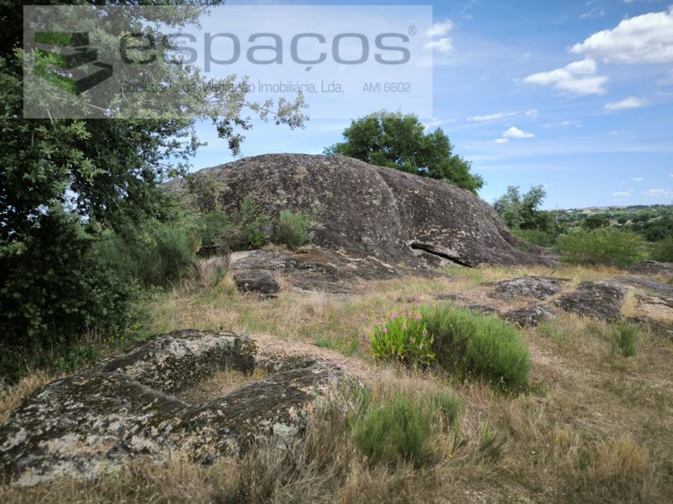 Helårsgrund i Castelo Branco, Castelo Branco - foto 4