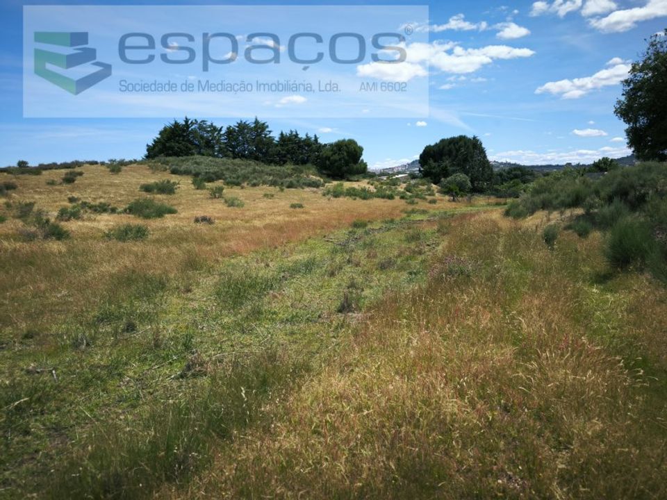 Helårsgrund i Castelo Branco, Castelo Branco - foto 4