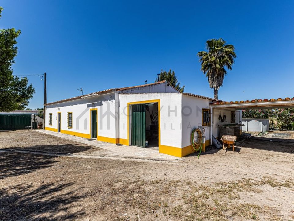 Farm i Beja, Beja - foto 2