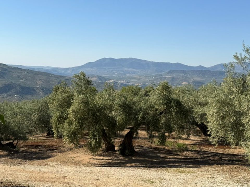 Landejendom i Iznajar, Cordoba - foto 3