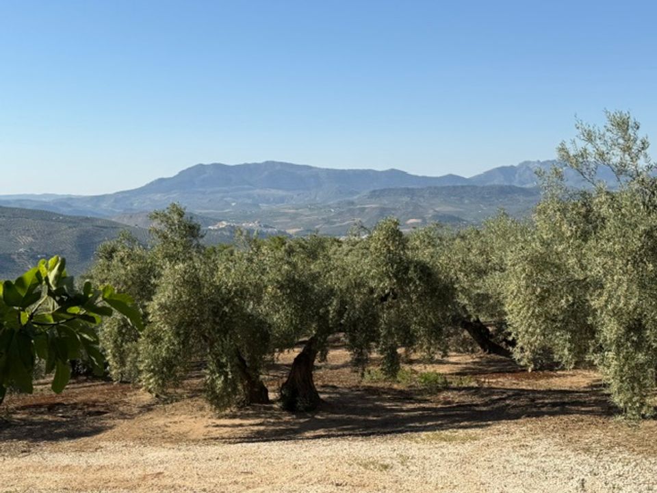 Landejendom i Iznajar, Cordoba - foto 2