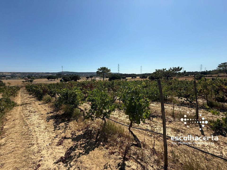 Landejendom i Palmela, Setubal - foto 1