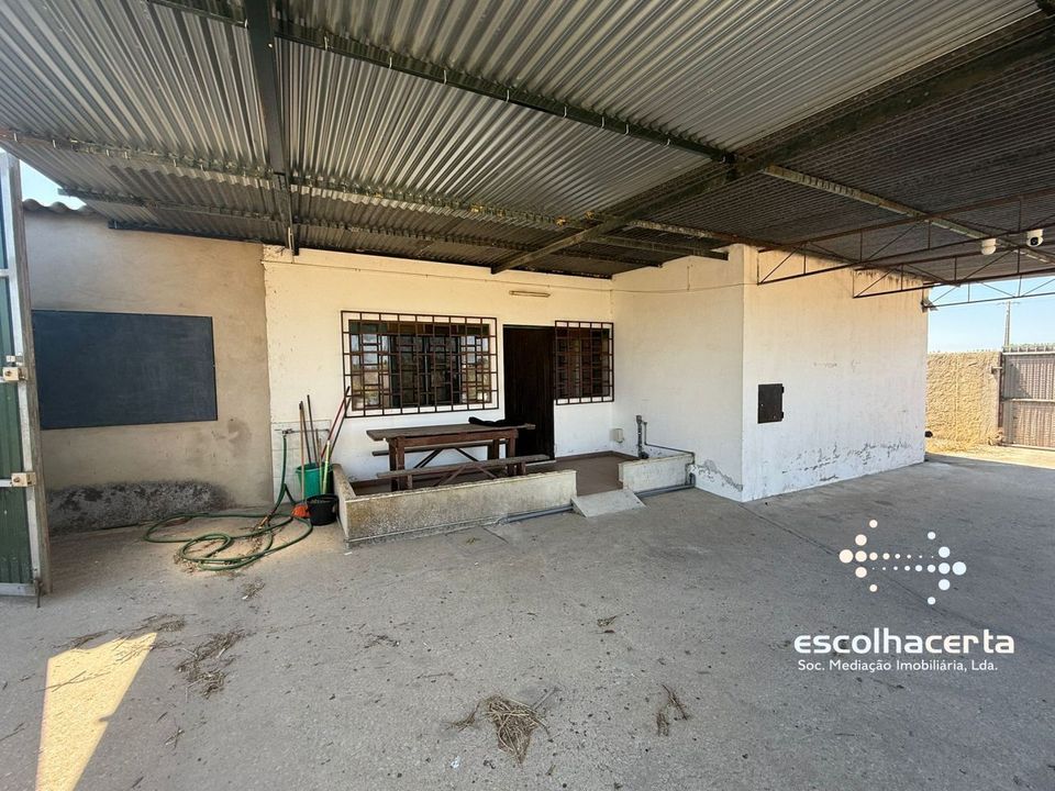 Landejendom i Palmela, Setubal - foto 2