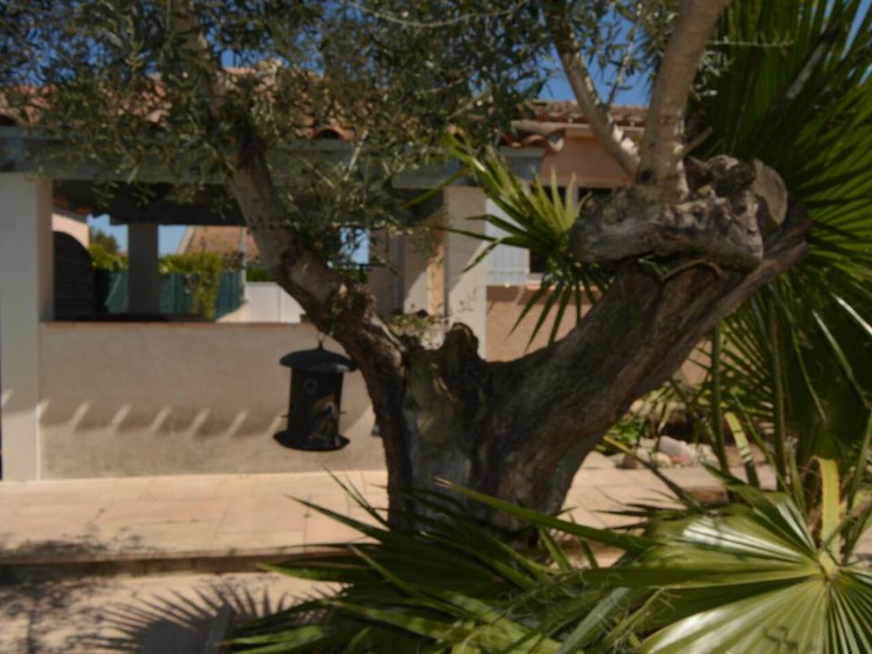 Villa i Saint-Just, Herault - foto 5