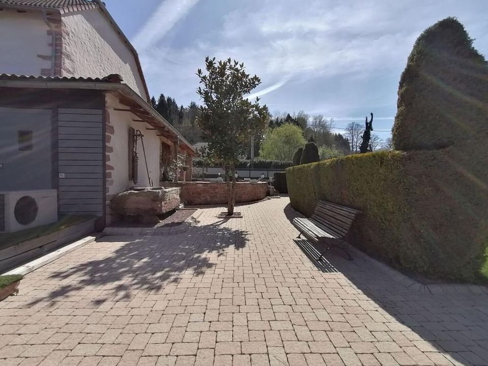 Farm i Saint-Léonard, Vosges - foto 2