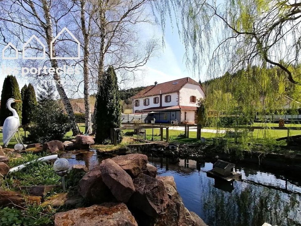 Farm i Saint-Léonard, Vosges - foto 3