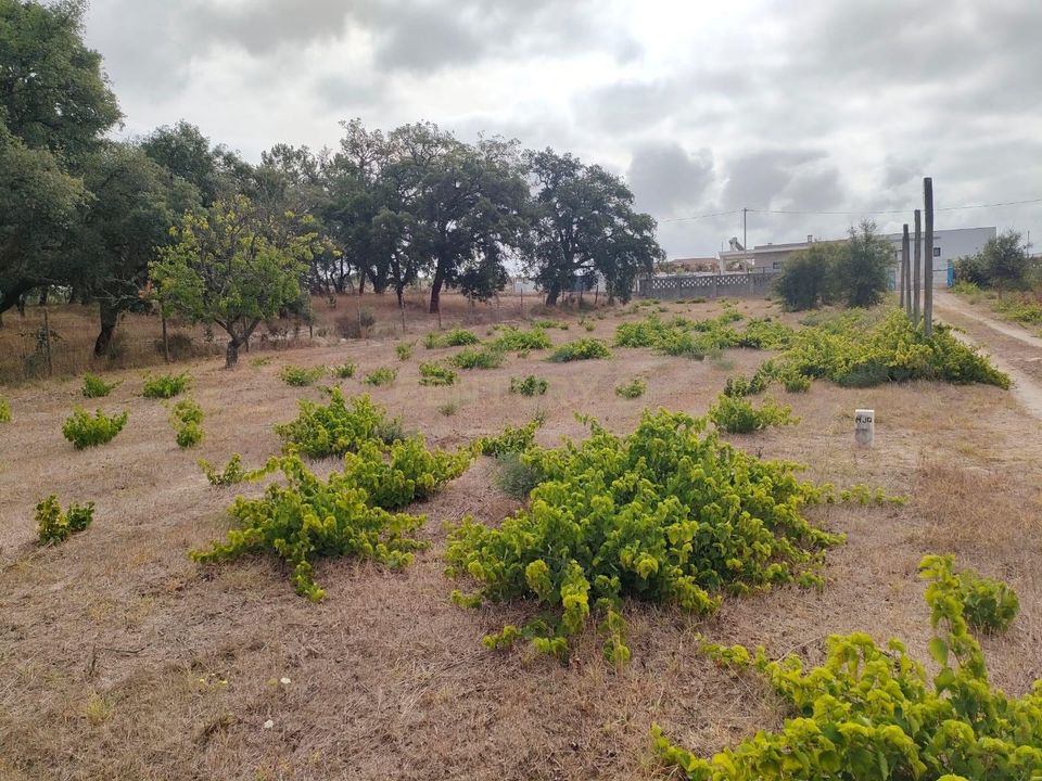 Helårsgrund i Setubal, Setubal - foto 3