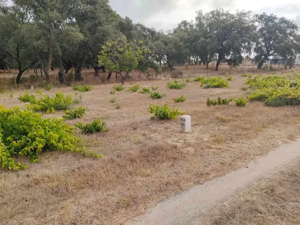 Helårsgrund i Setubal, Setubal - foto 4