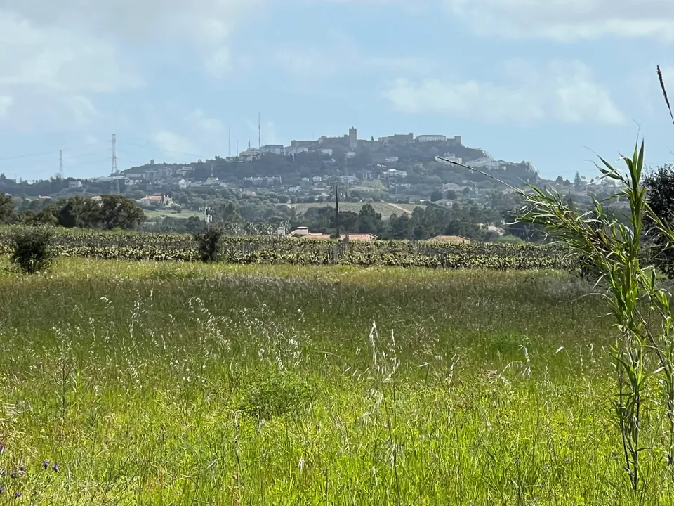 Helårsgrund i Palmela, Setubal - foto 1