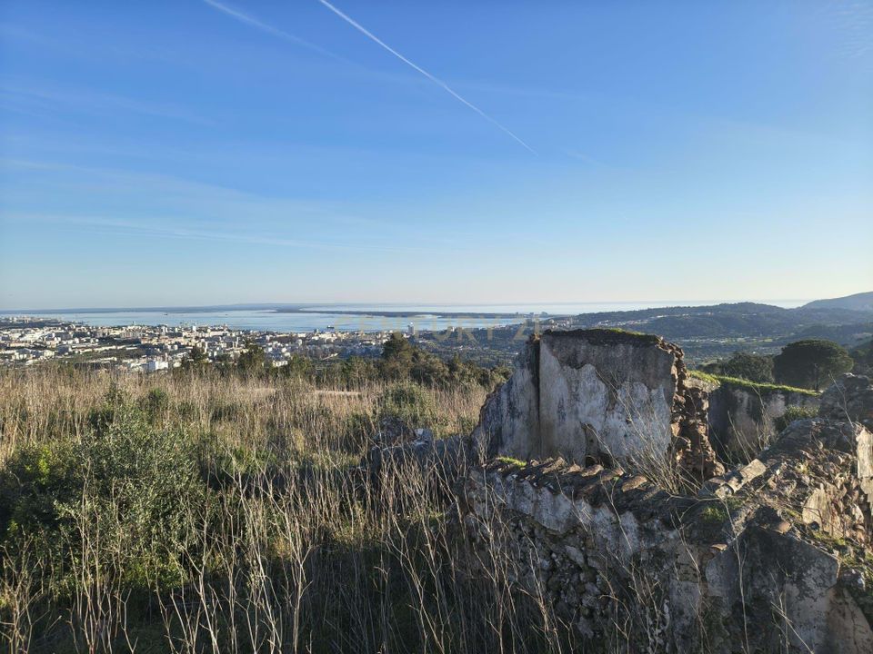 Farm hus i Palmela, Setubal - foto 3