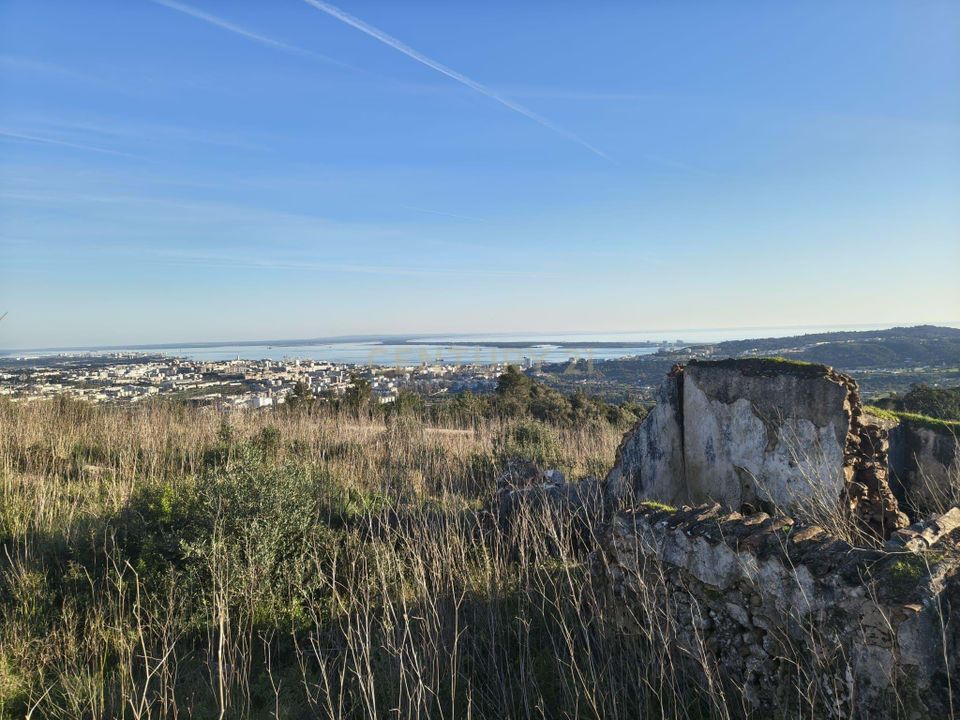 Farm hus i Palmela, Setubal - foto 4