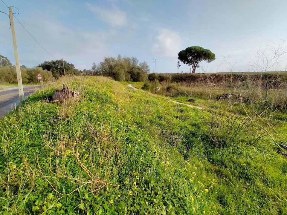 Helårsgrund i Setubal, Setubal - foto 4