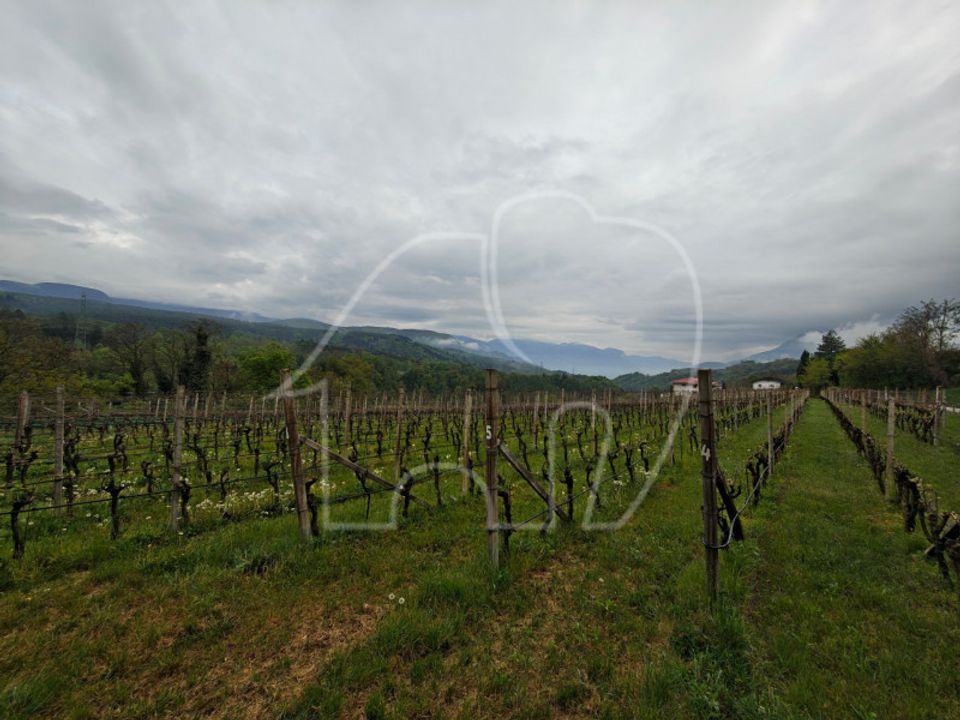 Helårsgrund i Caldaro sulla Strada del Vino, South Tyrol - foto 2