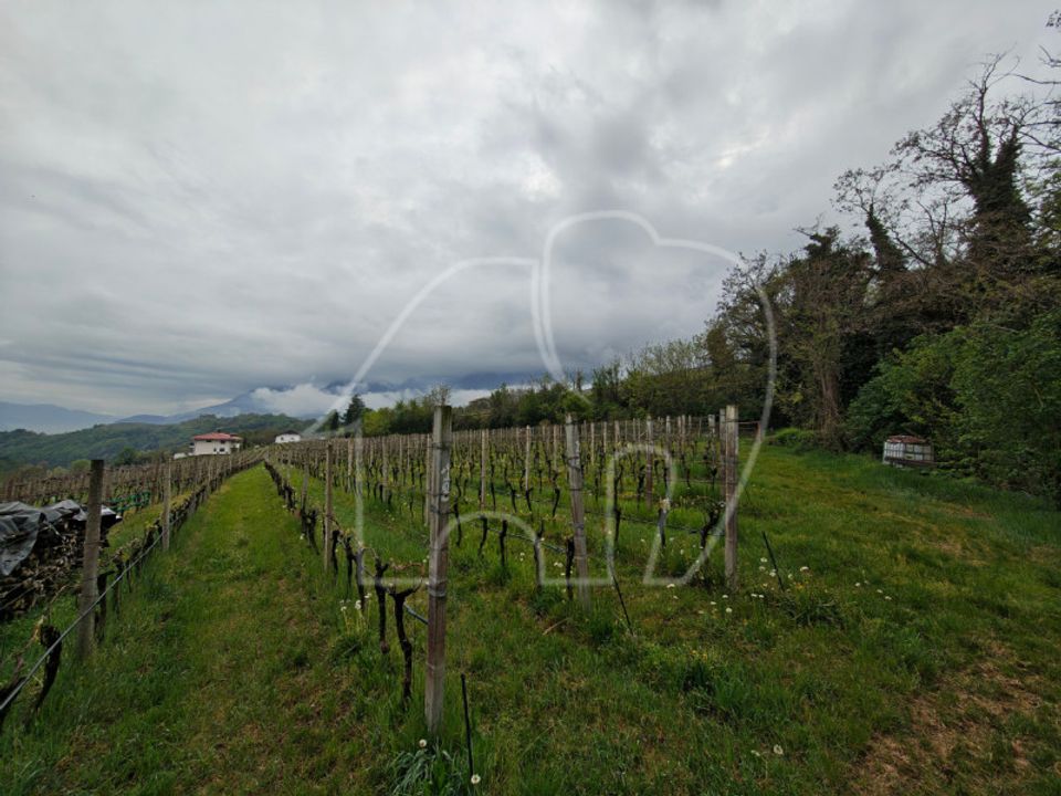 Terra a Caldaro sulla Strada del Vino, South Tyrol - foto 3