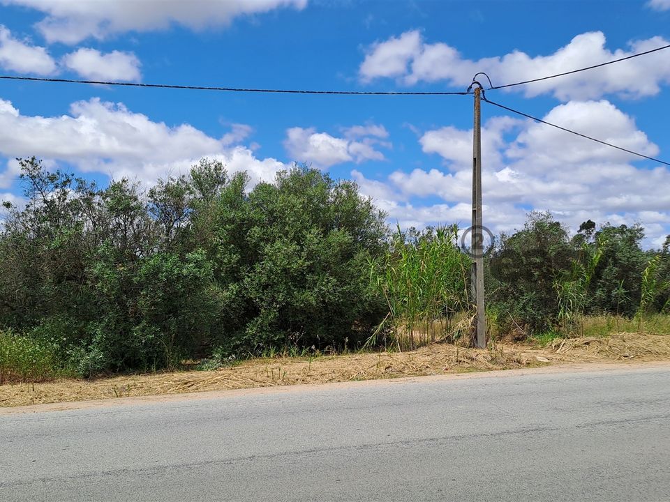 Helårsgrund i Vidigueira, Beja - foto 1