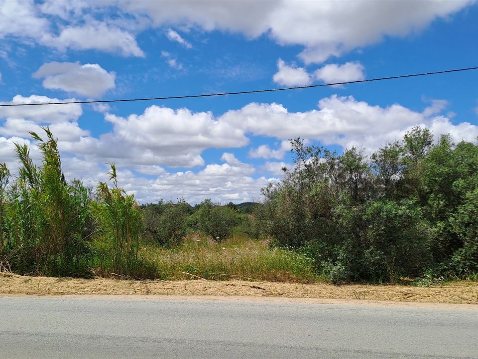 Helårsgrund i Vidigueira, Beja - foto 2