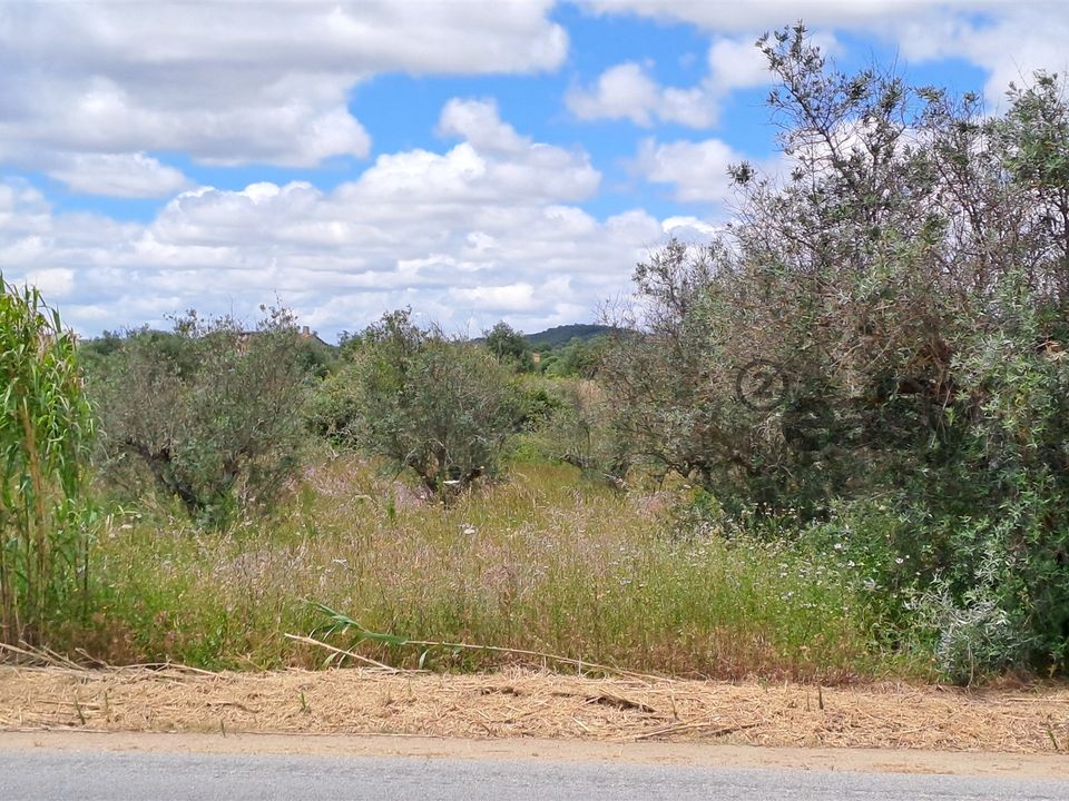 Helårsgrund i Vidigueira, Beja - foto 3