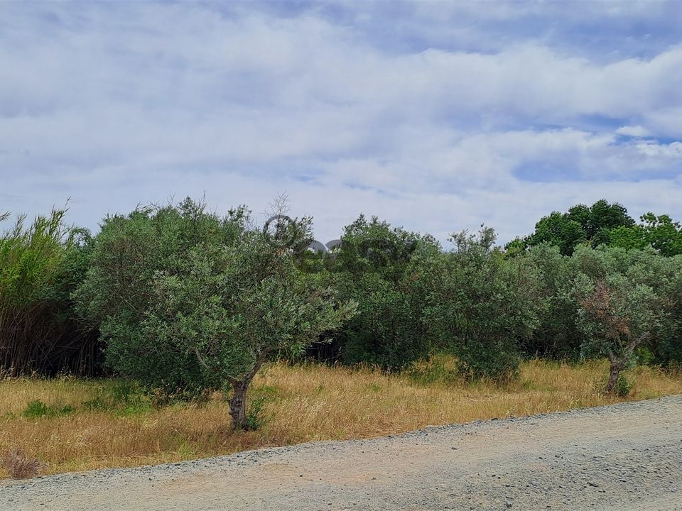 Tomt i Vidigueira, Beja - bilde 1