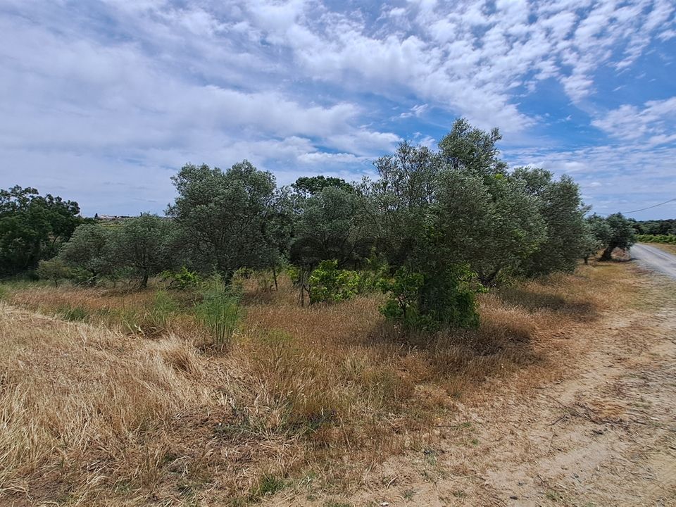 Tomt i Vidigueira, Beja - bilde 2