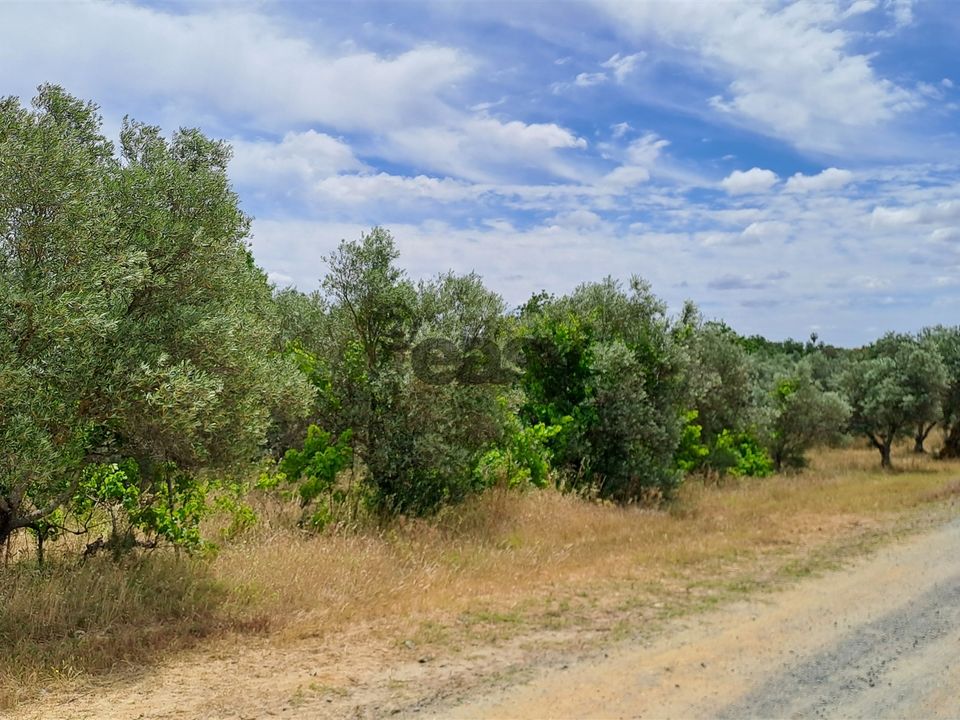 Tomt i Vidigueira, Beja - bilde 4