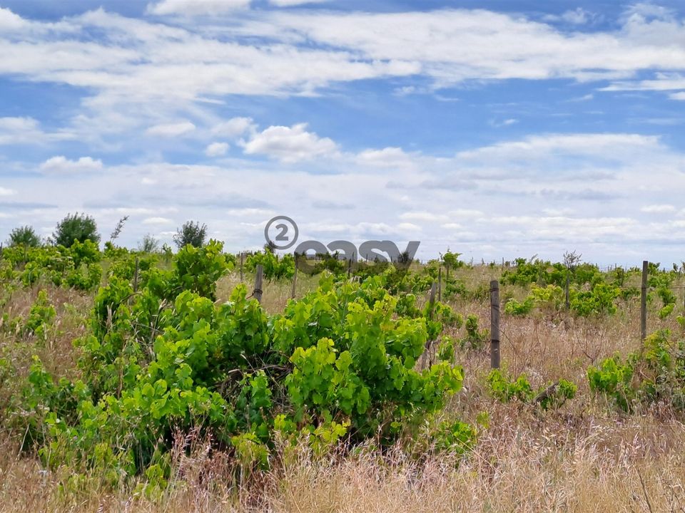 Helårsgrund i Vidigueira, Beja - foto 2