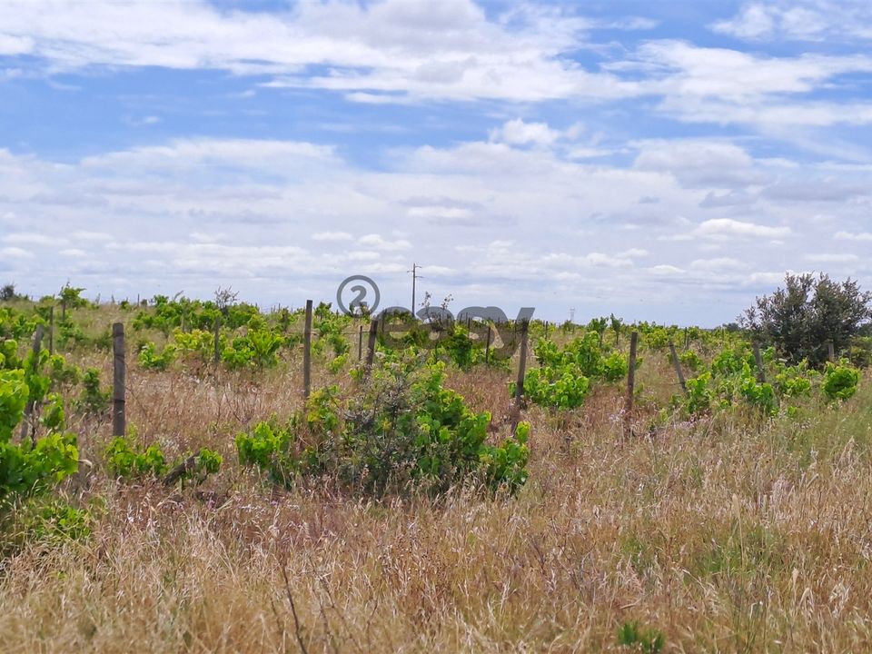 Helårsgrund i Vidigueira, Beja - foto 3