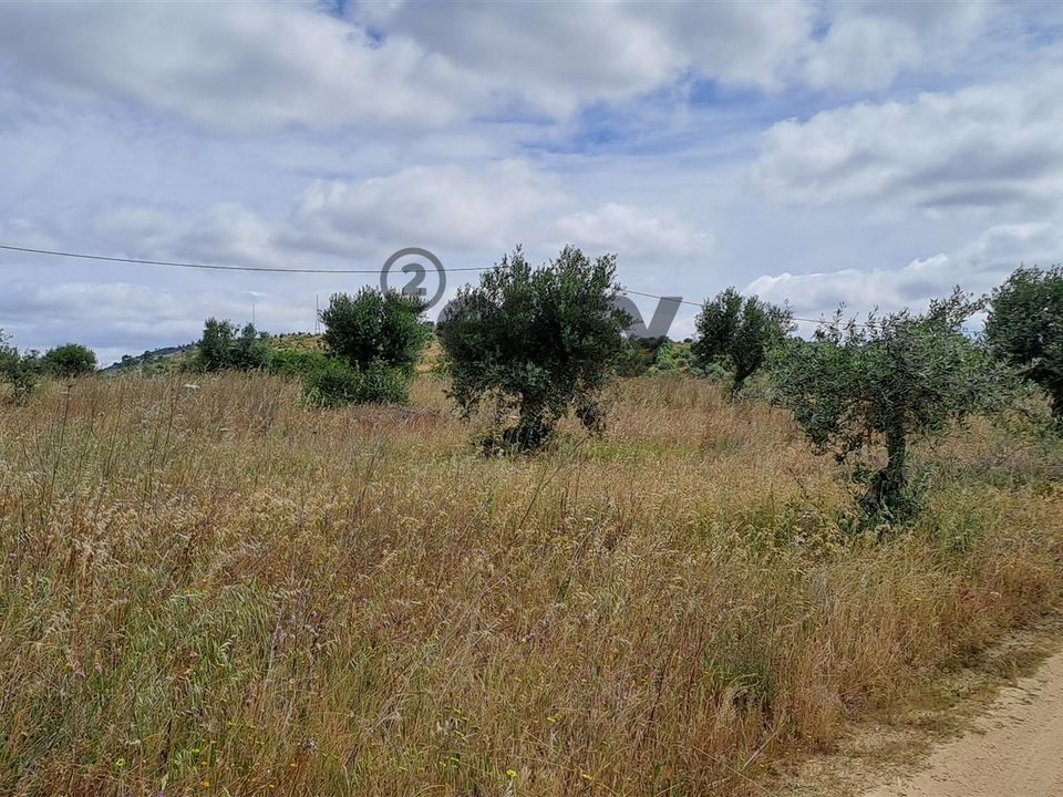 Helårsgrund i Vidigueira, Beja - foto 1
